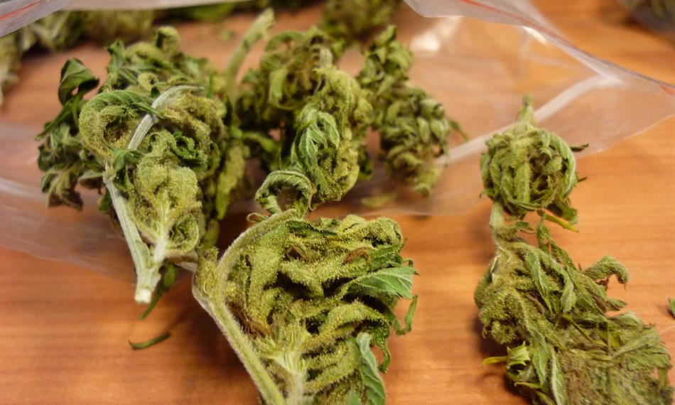 2014-12-8-1025hlavní foto-marihuana.JPG